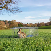 Trap Humane Possum Cage Live Animal Safe Catch Rabbit Cat Hare Fox Bird
