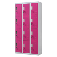 12-Door Locker for Office Gym Shed School Home Storage - Standard Lock with 2 Keys