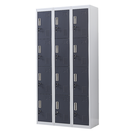 12-Door Locker for Office Gym Shed School Home Storage - Standard Lock with Keys