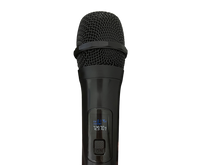 2 x Wireless Microphone Handheld Cordless Professional Mic Karaoke Receiver
