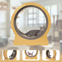 Cat Running Wheel w/ Carpet Runway Cat Exercise Wheel for Fitness Cat Treadmill