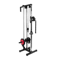 Wall Mounted Dual Pulley Tower