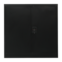 Two-Door Metal Short Cabinet Shelf Storage for Home Office Gym