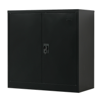 Two-Door Metal Short Cabinet Shelf Storage for Home Office Gym