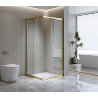 Adjustable 1000x900mm Double Sliding Door Glass Shower Screen in Gold