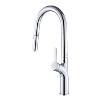 Kitchen Laundry Bathroom Basin Sink Pull Out Mixer Tap Faucet in Chrome