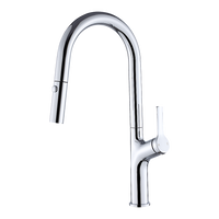 Kitchen Laundry Bathroom Basin Sink Pull Out Mixer Tap Faucet in Chrome