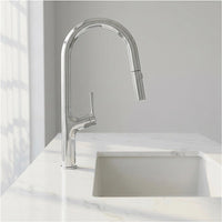 Kitchen Laundry Bathroom Basin Sink Pull Out Mixer Tap Faucet in Chrome