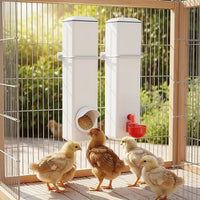Chicken Bird Feeder Water Dispenser Automatic Waterer Poultry Food Drinker 4L