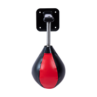 Wall Hanging Boxing Punching Bag Speed Training Stress Relief Kit with Wall Mount Bracket