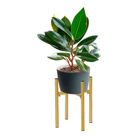 Metal Plant Stand Adjustable Indoor