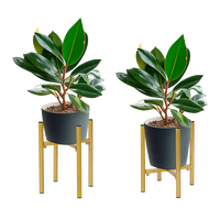 Metal Plant Stand Adjustable Indoor