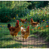 30m Black Chicken Wire Mesh Roll – Heavy Duty Aviary Netting & Garden Fencing for Poultry Enclosures