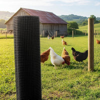 30m Black Chicken Wire Mesh Roll – Heavy Duty Aviary Netting & Garden Fencing for Poultry Enclosures