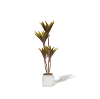 Faux Cordyline fruticosa Tree