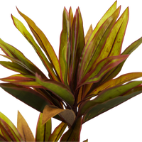 Faux Cordyline fruticosa Tree