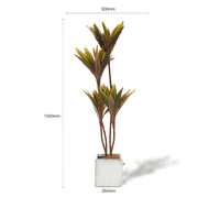 Faux Cordyline fruticosa Tree