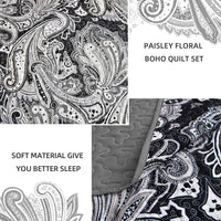 Artful Quilted Coverlet and Pillowcases Set: Beauty in Every Stitch - Queen size