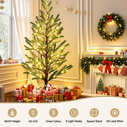 https://cdn.dropshipzone.com.au/media/catalog/product/X/M/XM-TR-PLANT-6FT-LED-202508181242-00.jpg
