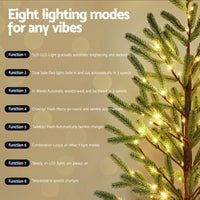 https://cdn.dropshipzone.com.au/media/catalog/product/X/M/XM-TR-PLANT-6FT-LED-202508181242-00.jpg