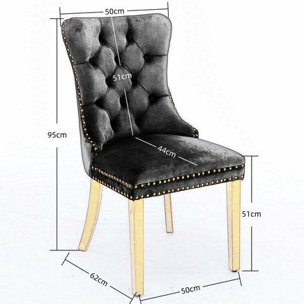 AADEN 2x Velvet Dining Chairs with Golden Metal Legs-Black Kings Warehouse 