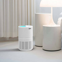 Air Purifier and Cleaner with HEPA Filter, Sleep Mode and Timer Appliances Kings Warehouse 