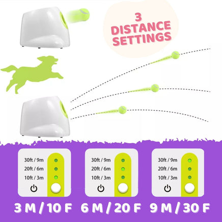 Automatic Ball Launcher Throwing Machine Dog Toys Interactive Tennis Pet 3Balls Pet Care Kings Warehouse 