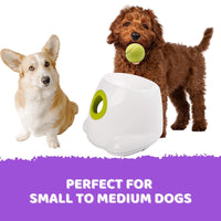 Automatic Ball Launcher Throwing Machine Dog Toys Interactive Tennis Pet 6Balls Pet Care Kings Warehouse 