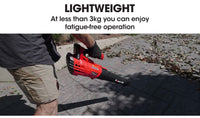 Baumr-AG 20V Lithium Cordless Leaf Blower Electric Hand-held Garden Tool Kings Warehouse 