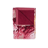 Bedding House Festival Multi Cotton Velour Beach Towel Home & Garden Kings Warehouse 