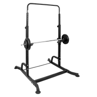 Bench Press Gym Rack and Chin Up Bar Sports & Fitness Kings Warehouse 