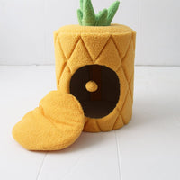 CATIO Pineapple Cat House Pet Care Kings Warehouse 