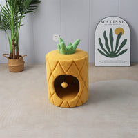 CATIO Pineapple Cat House Pet Care Kings Warehouse 