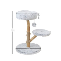 Catio "Pure" Double-level Cat Resort 50x50x75 cm Pet Care Kings Warehouse 