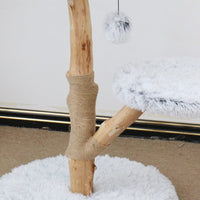 Catio "Pure" Double-level Cat Resort 50x50x75 cm Pet Care Kings Warehouse 