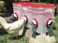 Cheeky Chooka DIY Poultry Feeder Port 4pk Kings Warehouse 