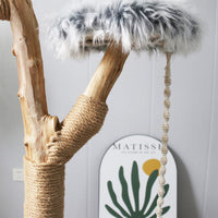 CMISSTREE Modern Cat Tree With Hanging Hammock Pet Care Kings Warehouse 