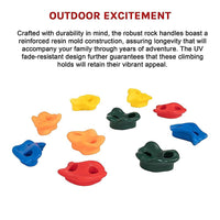 Deluxe 10 x Holds for Rock Climbing Wall Kids Outdoor Playground Baby & Kids Kings Warehouse 