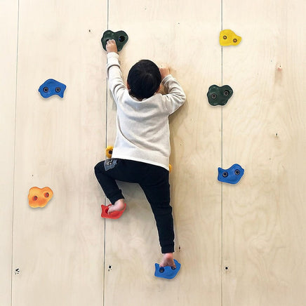 Deluxe 10 x Holds for Rock Climbing Wall Kids Outdoor Playground Baby & Kids Kings Warehouse 