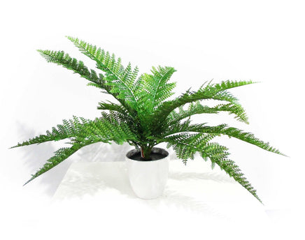 Dense Fern Stem 45cm Home & Garden Kings Warehouse 