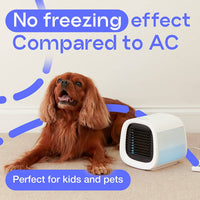 EVAPOLAR evaCHILL - Personal Portable Air Cooler and Humidifier, with USB Connectivity and LED Light, Grey End of Year Clearance Sale Kings Warehouse 