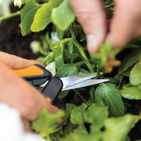 Fiskars Softouch Micro-Tip Pruning Snips - Non-Coated Blades for Precise Trimming of Delicate Plants Kings Warehouse 