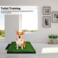 Floofi Pet Grass Training Potty Kings Warehouse 