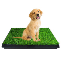 Floofi Pet Grass Training Potty Kings Warehouse 