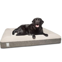 Fur King "Ortho" Orthopedic Dog Bed - Large Kings Warehouse 