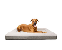 Fur King "Ortho" Orthopedic Dog Bed - XL Kings Warehouse 