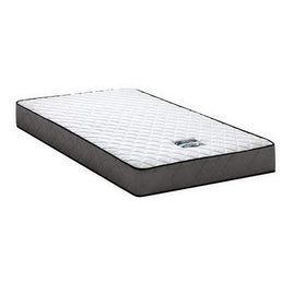Giselle Bedding 16cm Mattress Tight Top Single Furniture Kings Warehouse 
