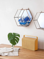 Hexagon Hanging Mirror for Home Decoration (Rose Gold Color) Kings Warehouse 