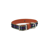 Highland Blue Tartan Dog Collar Medium Kings Warehouse 