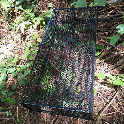 Humane Snake Trap Remove Small to Medium Snakes 2 Doors Pet Care Kings Warehouse 